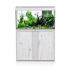 Aquatlantis Elegance Expert Grey Silver