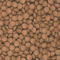 Tropical  Supervit Tablets B