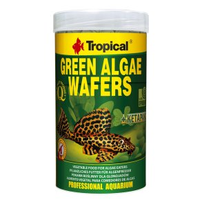 Tropical Green Algae Wafers