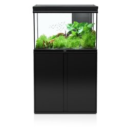 Aquatlantis Elegance Expert Black