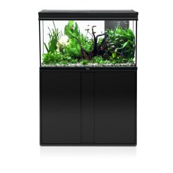 Aquatlantis Elegance Expert Kabinett Black