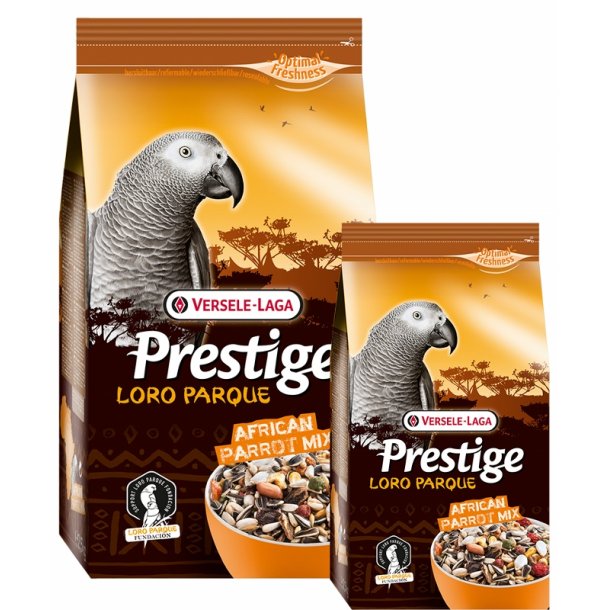 Prestige African Parrot