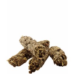 Complete Chinchilla &amp; Degu