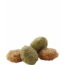 Complete Hamster &amp; Gerbil