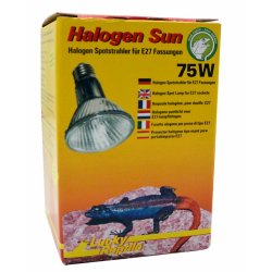 Halogen Sun