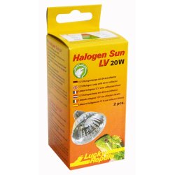 Halogen Sun LV Double Pack