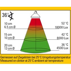 Halogen Sun LV Double Pack