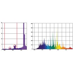 Bright Sun UV Desert 