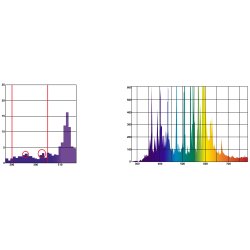 Bright Sun FLOOD Jungle 70 watt