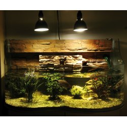 Bright Sun Turtle 100 watt