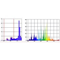 Bright Sun Turtle 100 watt