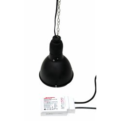 Bright Sun Set Turtle 70 watt