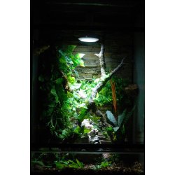 LED Sun FLOOD 18 watt