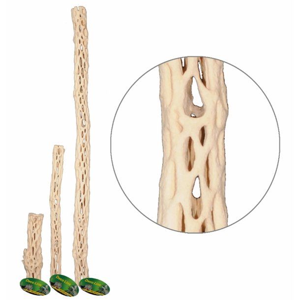 Cactus Wood