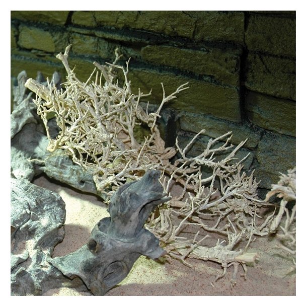 Desert Bush Bleached 