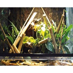 Bamboo Stick 1 meter