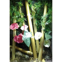 Bamboo Stick 1 meter