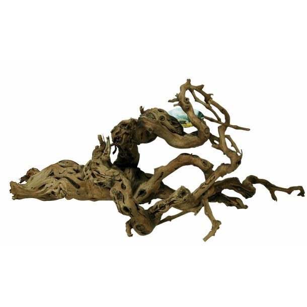Premium  Grapevine