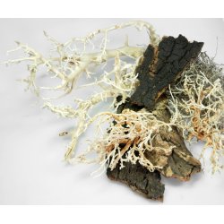 Life Experience Deco Set