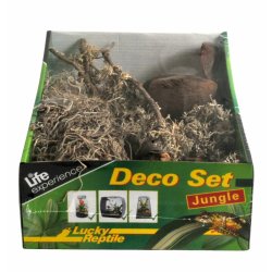 Life Experience Deco Set