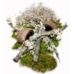 Life Experience Deco Set