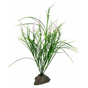 Mediterranian Grass 40 cm