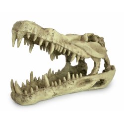 Deco Skull Crocodile