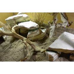 Desert Bedding Nature Brown 