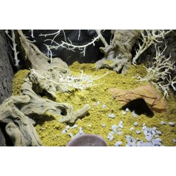 Desert Bedding Golden Yellow 