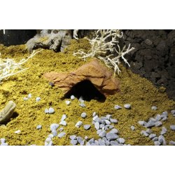 Desert Bedding Golden Yellow 