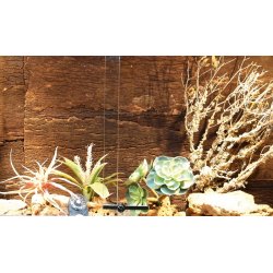 Natural Cork Background Desert 90x60 cm