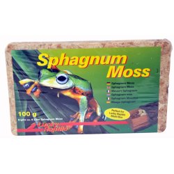 Sphagnum Moss 100 gram