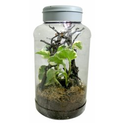 Insect Tarrium 5 Liter