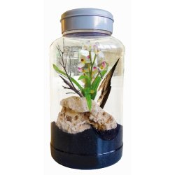Insect Tarrium 5 Liter