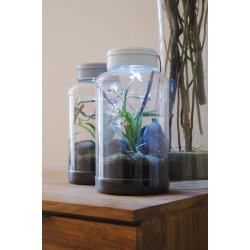 Insect Tarrium 5 Liter