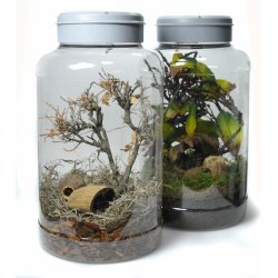 Insect Tarrium 5 Liter