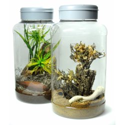 Insect Tarrium 5 Liter