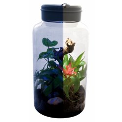 Insect Tarrium 5 Liter