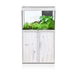 Aquatlantis Elegance Expert Grey Silver