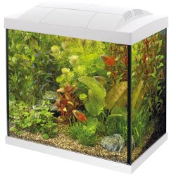 Superfish Start 50 Tropical Kit White