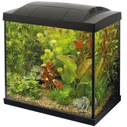 Superfish Start 50 Tropical Kit Black 