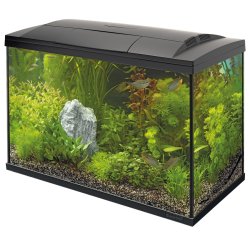Superfish Start 100 Tropical Kit Black 