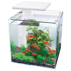 Superfish QUBIQ 30 Pro