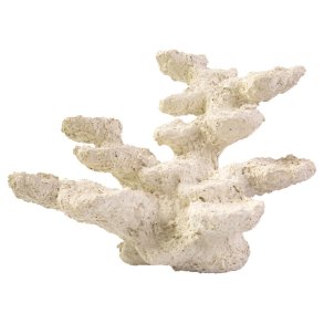 Blue Marine Rock Standing