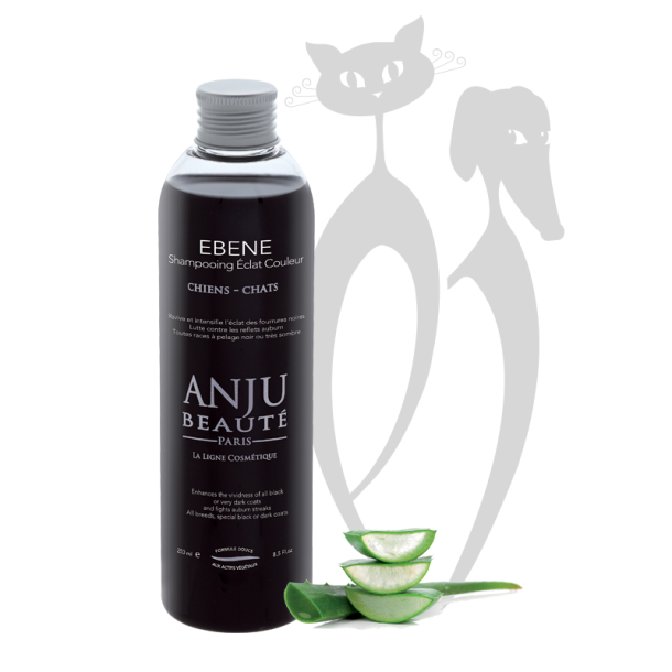 Anju - Ebene