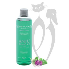 Anju - Purifiant Camphre