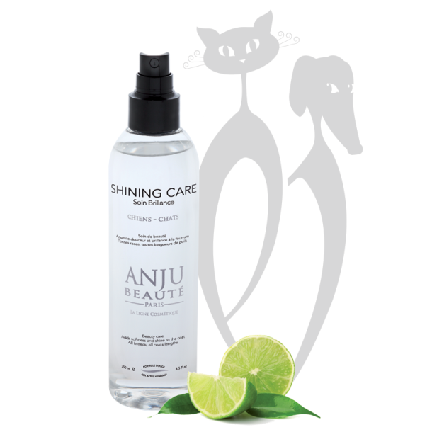 Anju - Shining Spray 
