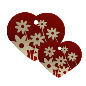 Hjerte R�d Daisy Flower