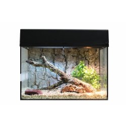 Starter Kit 50 cm Snake 