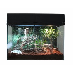 Starter Kit 50 cm Tarantula